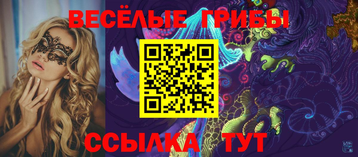Псилоцибиновые грибы MAGIC MUSHROOMS  Вход с VPN  Калач-на-Дону 