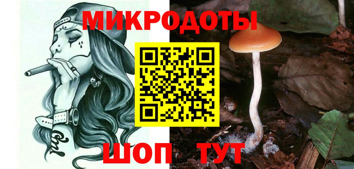 Галлюциногенные грибы Psilocybe Калач-на-Дону